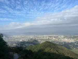 访园区 聚资源 出海之路再提速