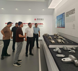 携手双汇电力 共拓海外新蓝海